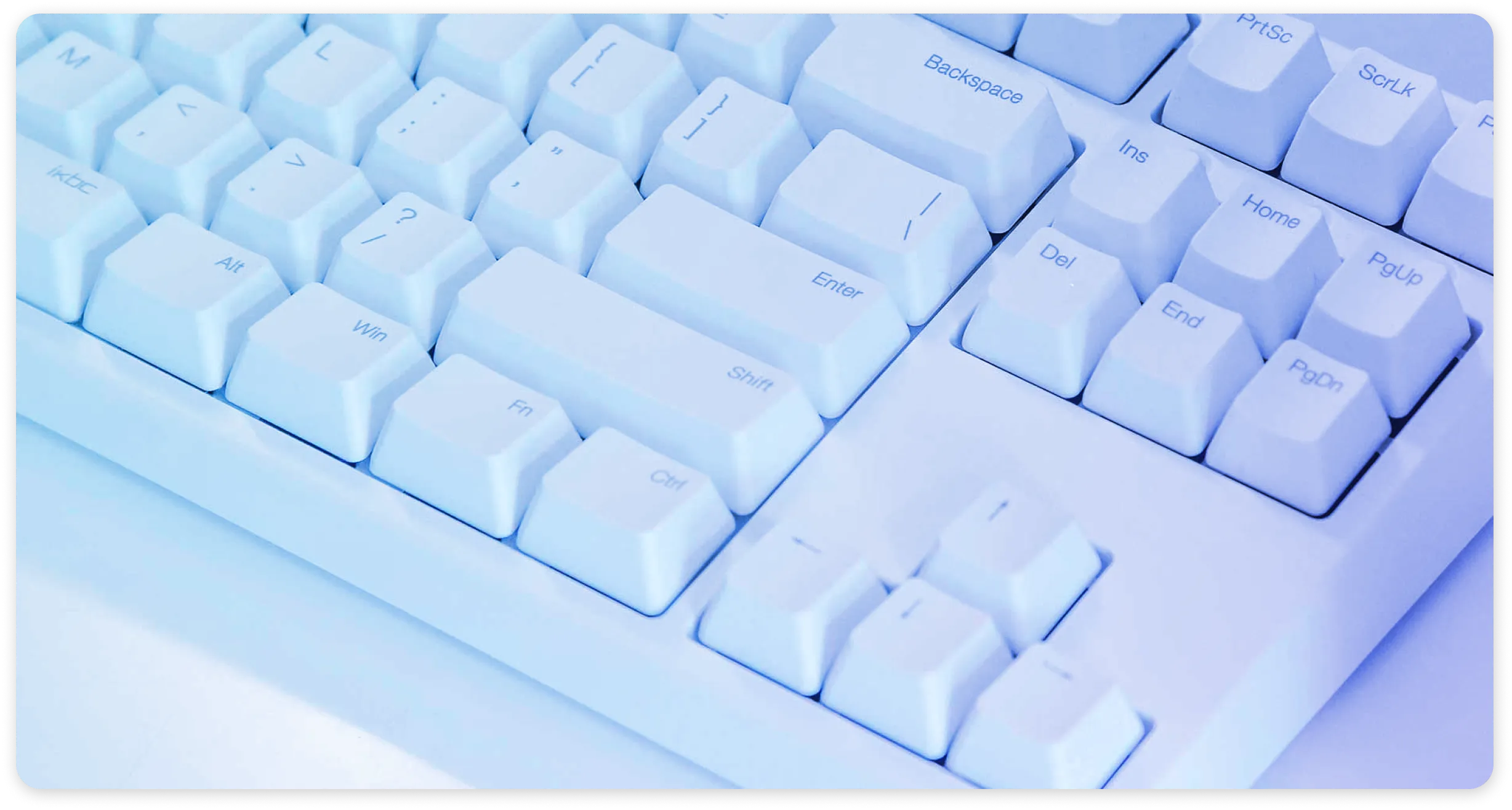 A computer keyboard.