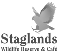 Staglands logo.